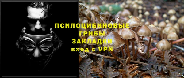 твердый Билибино