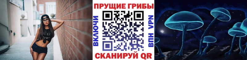 Галлюциногенные грибы мицелий  наркотики  Нюрба 